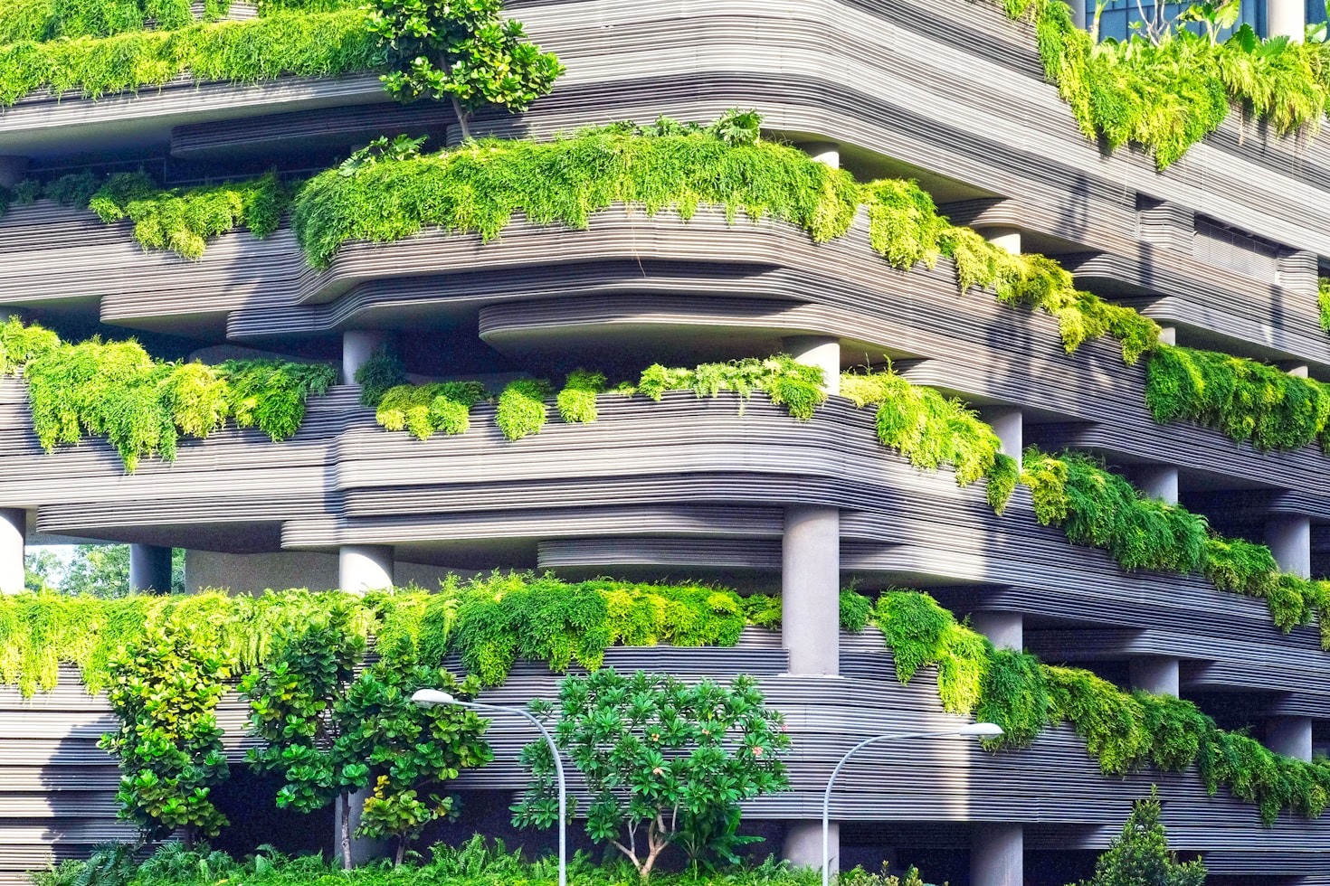 Sustainable Policy Making for Future Cities